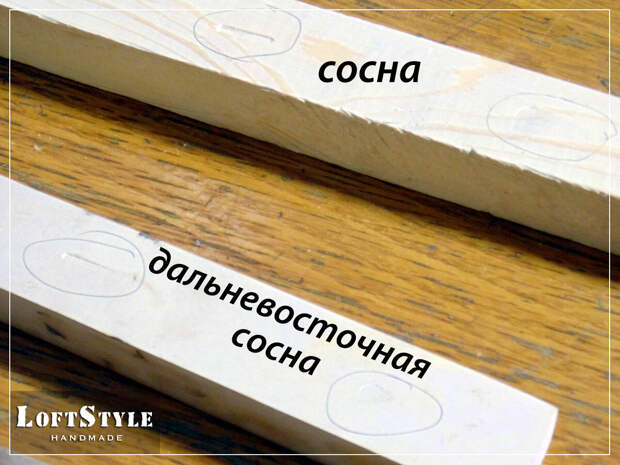 сосна и дальневосточная сосна