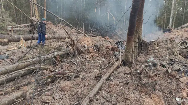 ФАН публикует фото с места крушения истребителя МиГ-31 в Ленобласти