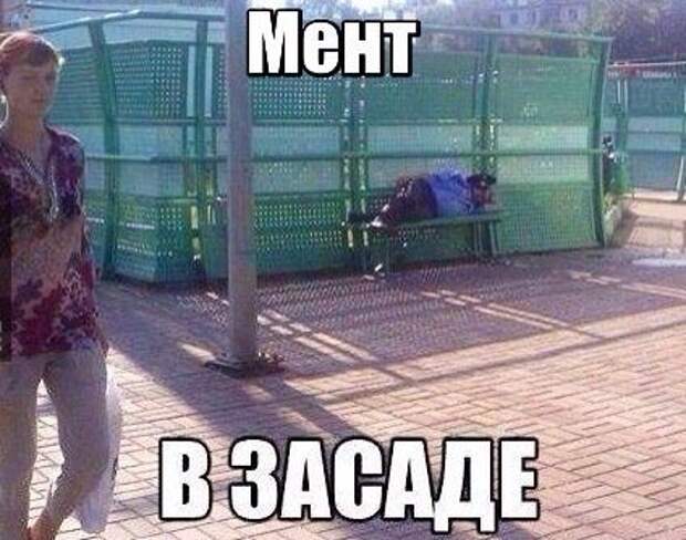 Смешные фразы в картинках