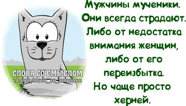 Прикольные фразочки в забавных картинках