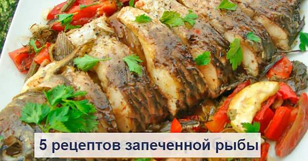5 рецептов для любителей рыбы 5 рецептов для любителей рыбы