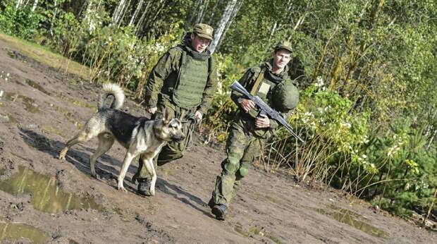 Белорусские пограничники со стрельбой поймали российских нелегалов