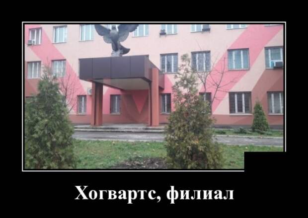 Демотиваторы (30 фото)