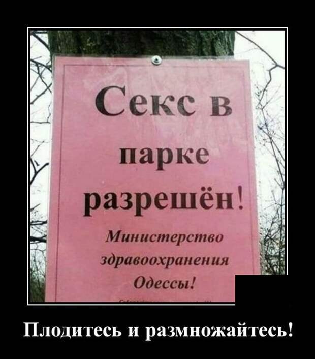 Демотиваторы (20 фото)