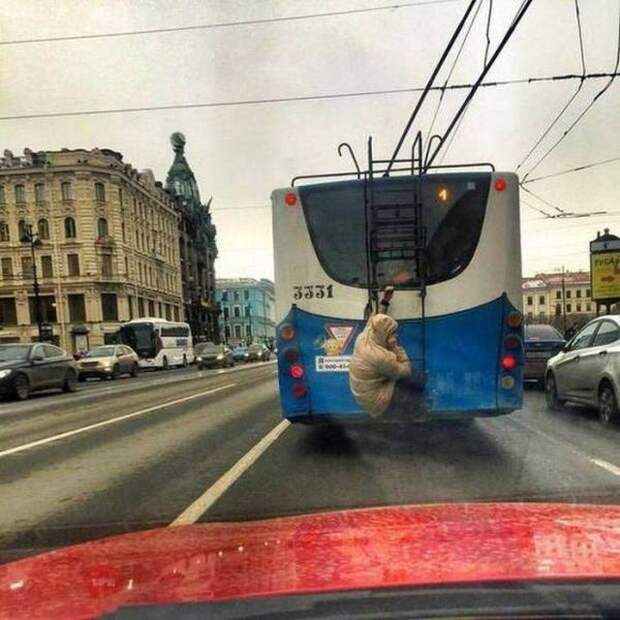 Номинанты на премию Дарвина