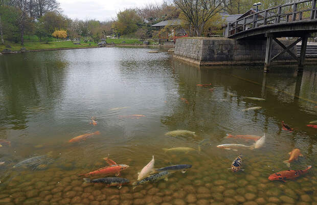 Japanse Tuin (Хассельт, Бельгия) Japanse Tuin (Хассельт, Бельгия)