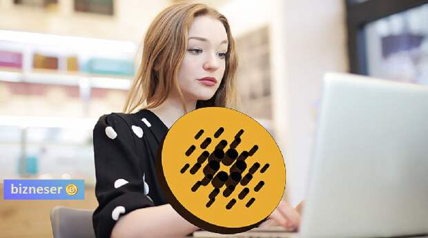 1715079176982.png 1715079176982.png