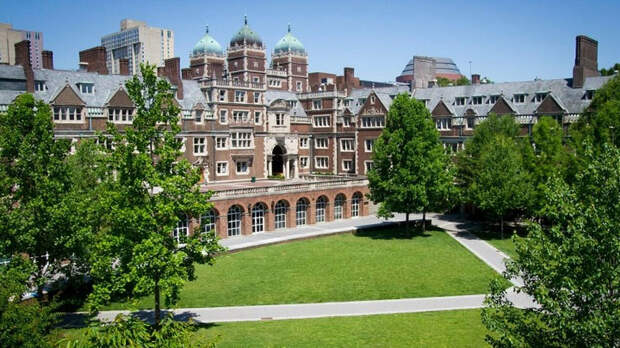 университет