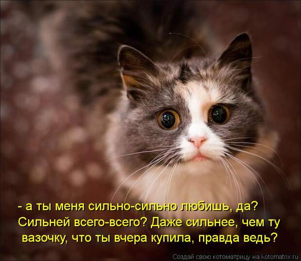 Котоматрица - - а ты меня сильно-сильно любишь, да? Сильней всего-всего? Даже сильне