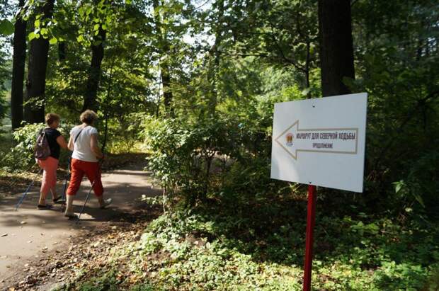 Маршрут для скандинавской ходьбы. Фото: открытый источник