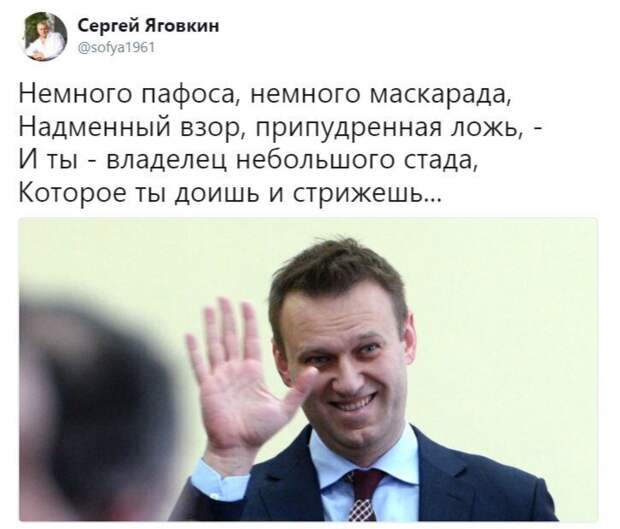 Политические картинки
