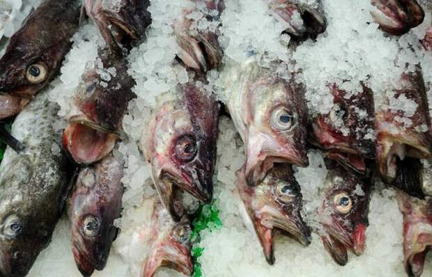 Нет существует правил для определения экологичности морепродуктов.