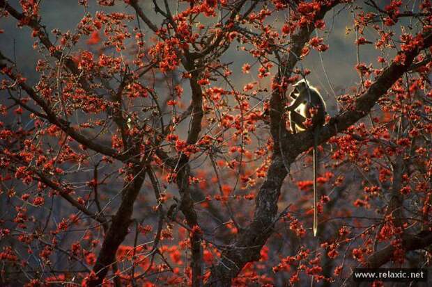 nature_051