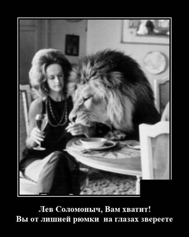 Демотиватор про льва