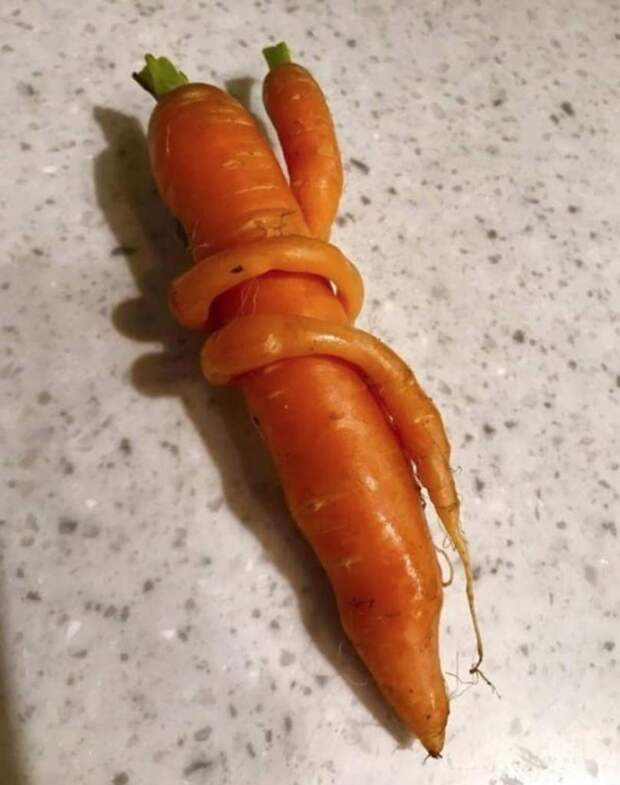 10 фото, на которых запечатлены редкие моменты