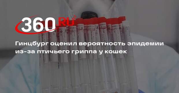 Гинцбург: высока вероятность перехода птичьего гриппа от кошек к человеку