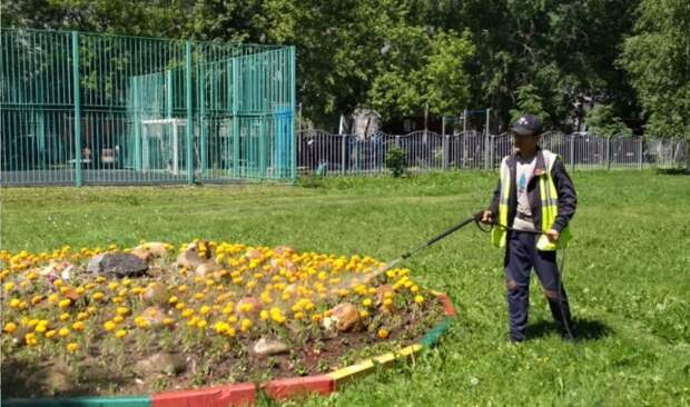Частоту полива цветников в Алтуфьевском увеличили Фото предоставлено ГБУ «Жилищник»