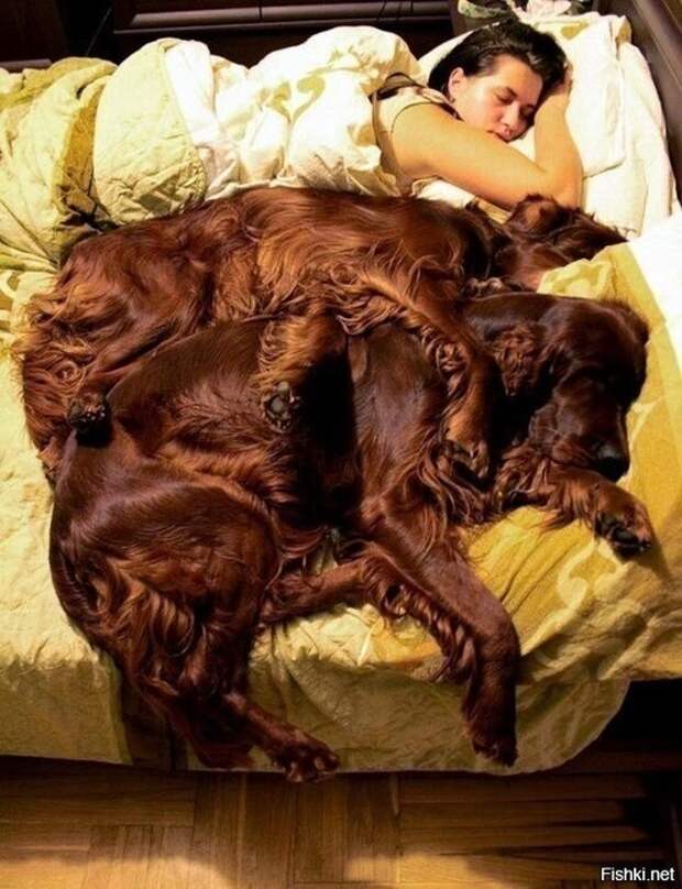 1d80609afa00938f005950b5487d7b27 (536x700, 111Kb)