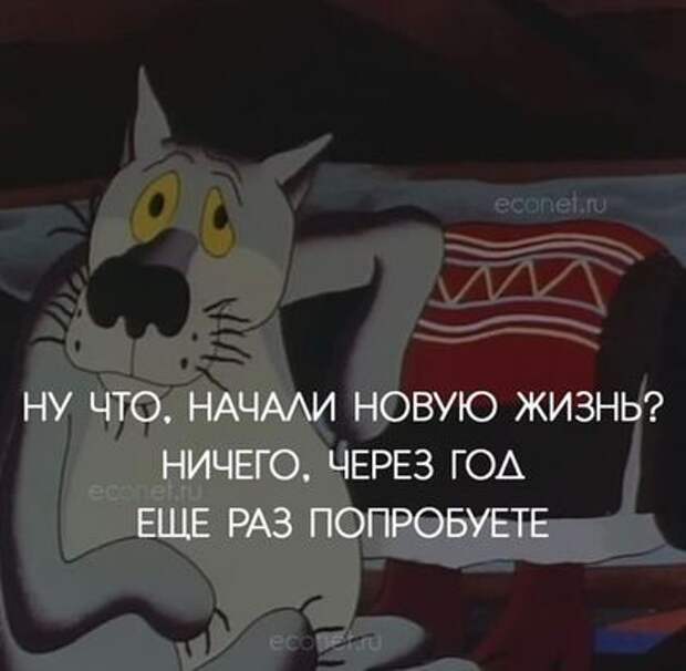 Прикольные и забавные картинки с надписями Прикольные и забавные картинки с надписями