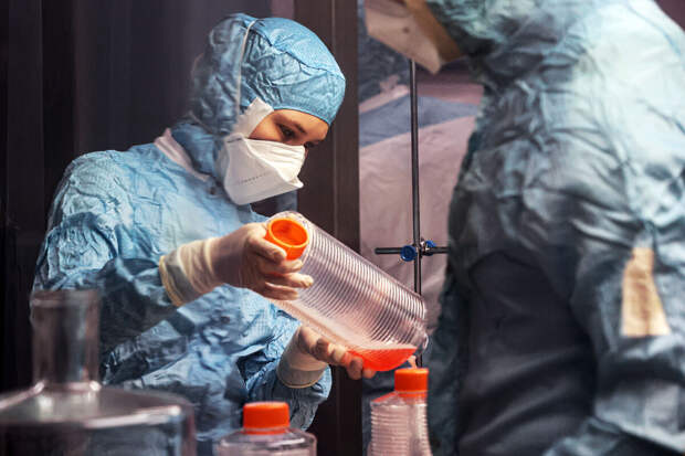 Онищенко: вакцину от индийского вируса Нипах можно разработать