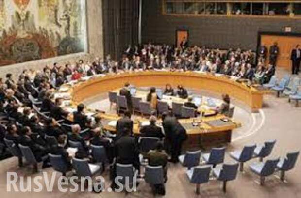 В воскресенье СБ ООН рассмотрит проект резолюции с одобрением минских соглашений | Русская весна
