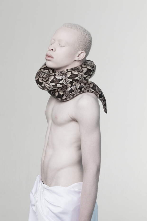 Модели-альбиносы в фотосессиях Justin Dingwall Модели-альбиносы в фотосессиях Justin Dingwall