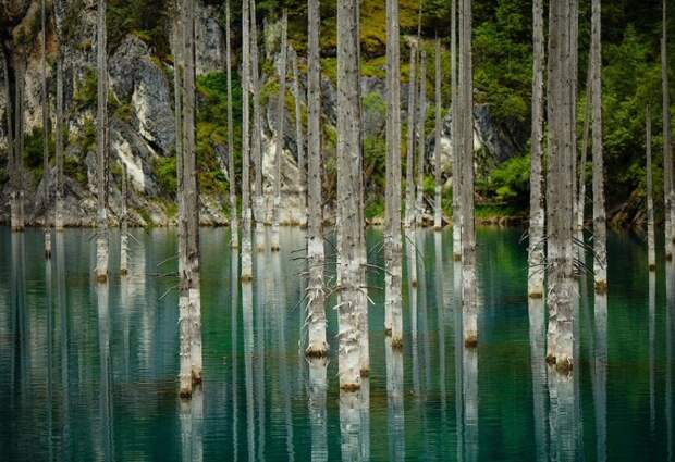 Удивительный затонувший лес: озеро Каинды  затонувший лес, озеро Каинды