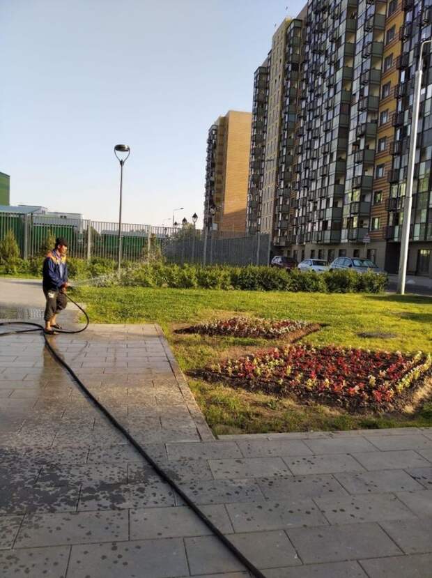 В Северном интенсивно поливают зелёные насаждения