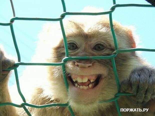 Супер приколы )))