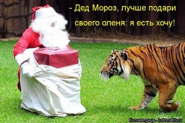 Подумала о своей жизни... сразу мухи налетели.
