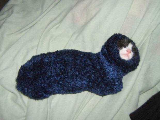 Aaaaa.