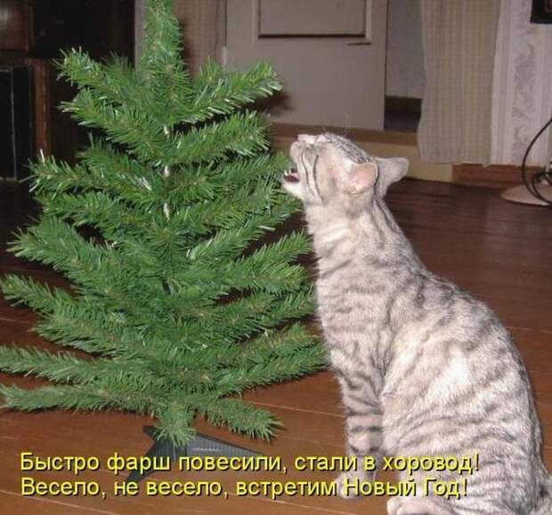 1325250302-1325212540_1325016158_4 (640x598, 203Kb)