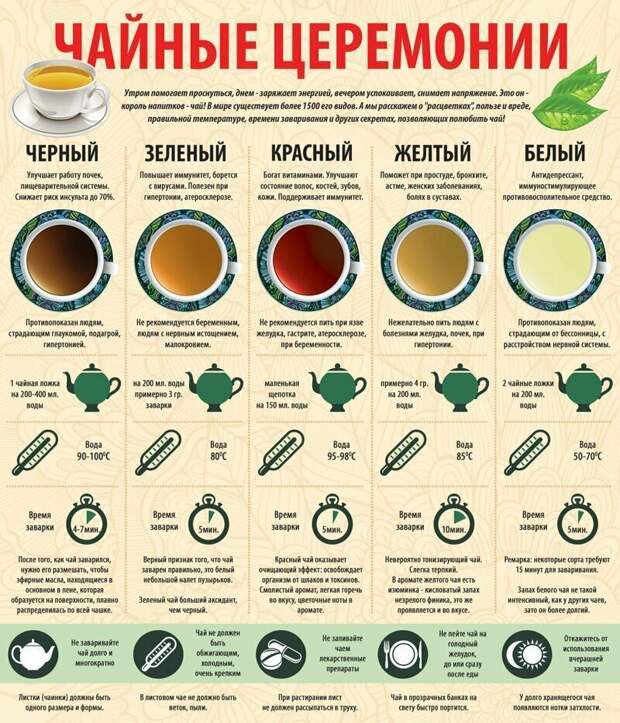 Шпаргалки, которые пригодятся любителям покулинарить Шпаргалки, которые пригодятся любителям покулинарить