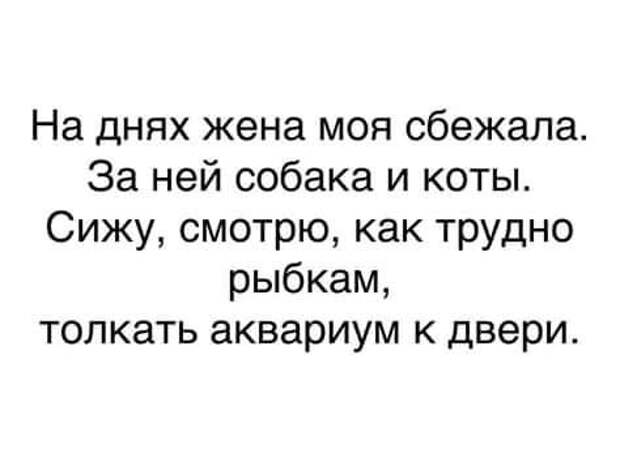 22 классных веселых анекдота