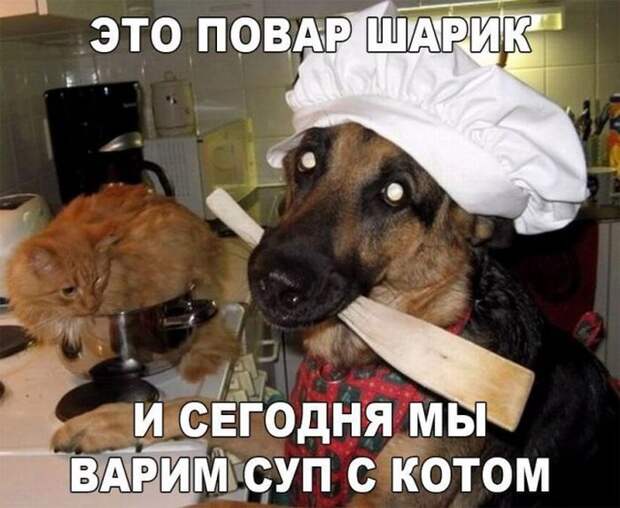 Паранормальных пикч