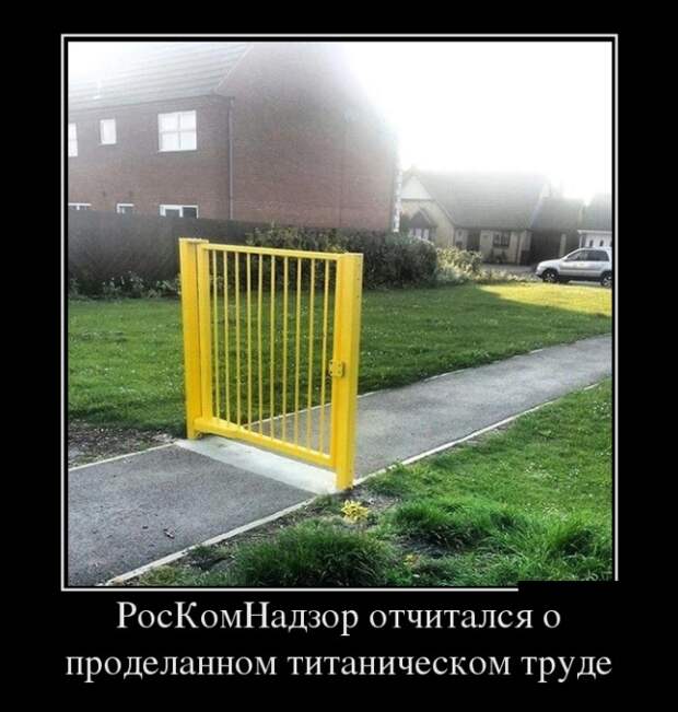 Демотиваторы