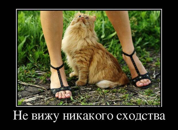 Забавные и прикольные демотиваторы для настроения (10 фото) Забавные и прикольные демотиваторы для настроения (10 фото)