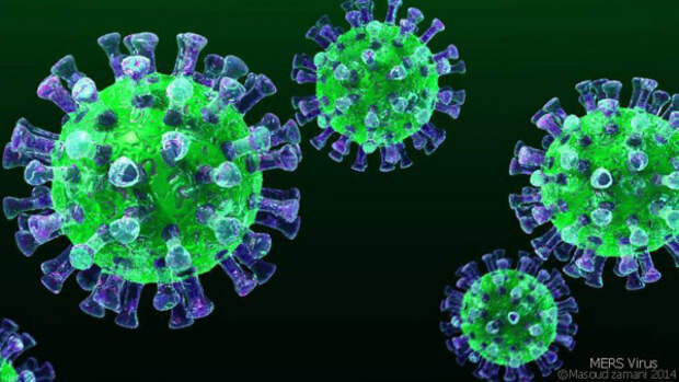 Число заболевших новым типом вируса в Китае за последние сутки увеличилось на 688 человек