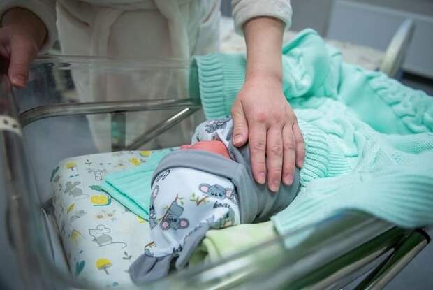 Жителям Смоленской области рассказали о мерах поддержки для семей с детьми