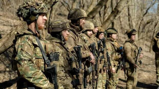 В Сумской области пропали штурмовики ВСУ, прошедшие подготовку в Польше