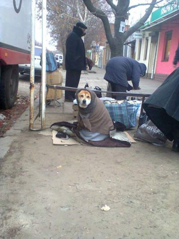 А ты способен на такое?