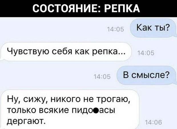 Репка Репка