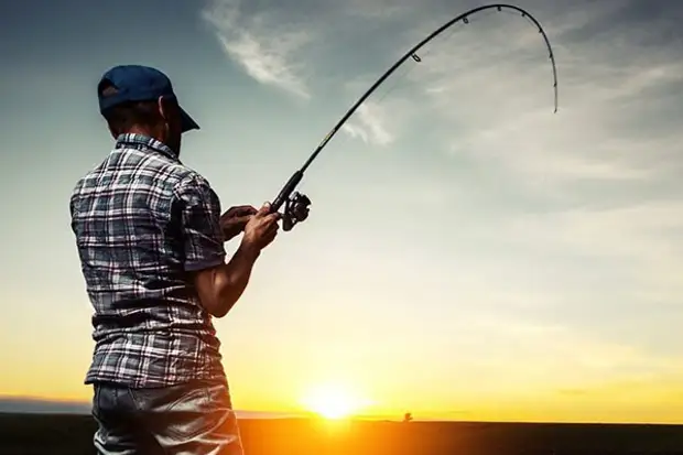 Лов судака запрещается с 15 апреля в связи с его нерестом.