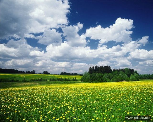 Andris_Eglitis_009