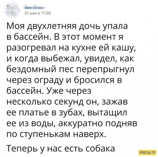 Смешные комментарии и смс диалоги (32 скрина)
