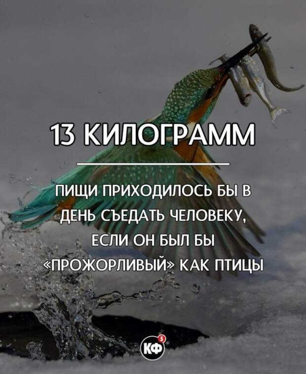 Краткие факты