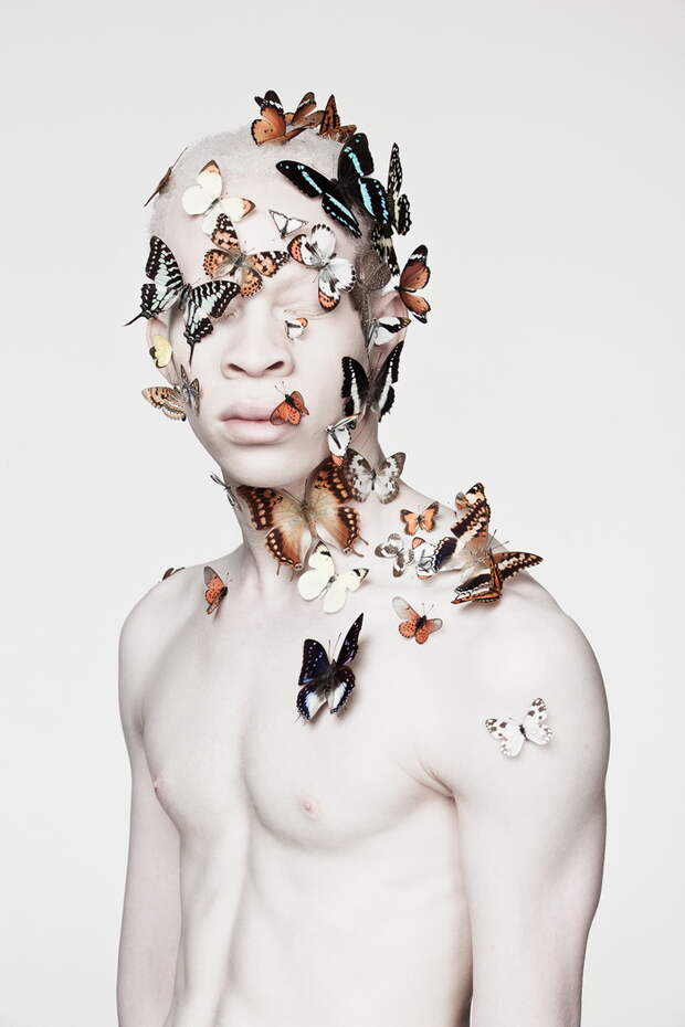 Модели-альбиносы в фотосессиях Justin Dingwall Модели-альбиносы в фотосессиях Justin Dingwall
