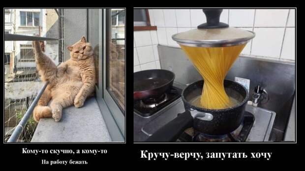 Новые демотиваторы и кому то на работу