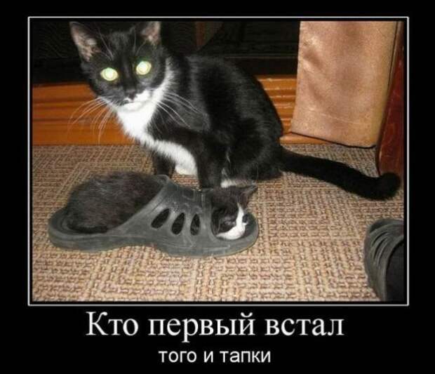 Демотиваторы (30 фото)