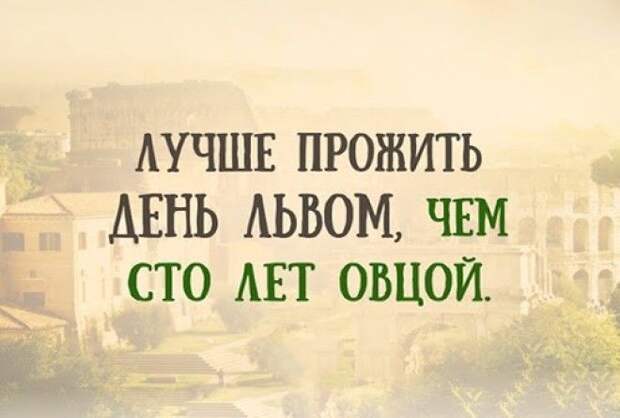 Проникнитесь их мудростью!